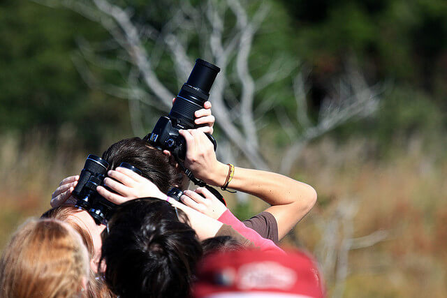 Cámaras para fotografía de aves y naturaleza salvaje