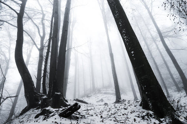 Qué es el Rango Dinámico de una cámara (fotografía / vídeo)