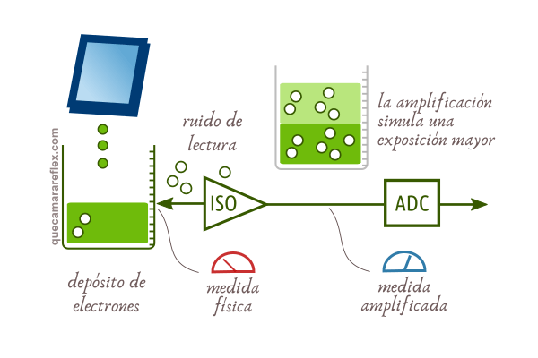 ISO, ruido y rango dinámico