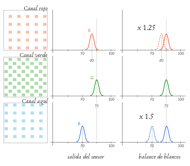 balance de blancos - Factor de ajuste