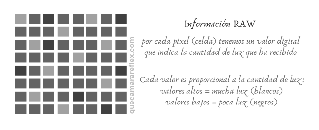 Demosaicing - Información RAW del sensor