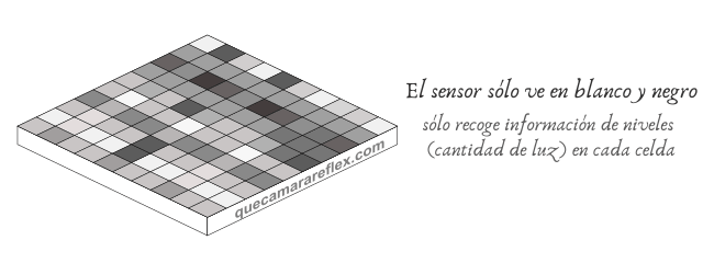 Demosaicing - El sensor sólo ve intensidad, no colores