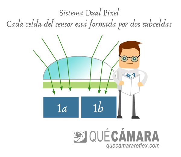 PDAF - Enfoque por detección de fase en el sensor - Dual Pixel