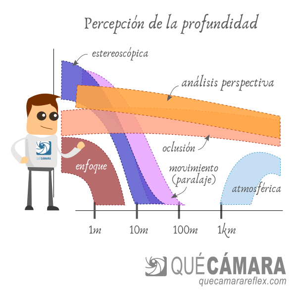 Mecanismos de percepción de la profundidad