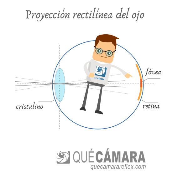 Proyección rectilínea en ojo humano - fóvea