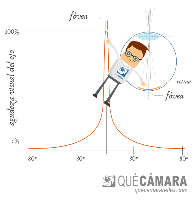Percepción visual ángulo visión ojo