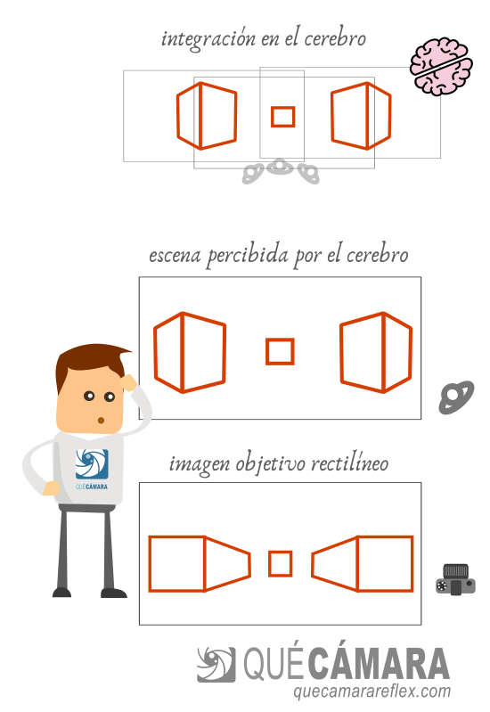 Perspectiva y percepción visual humana