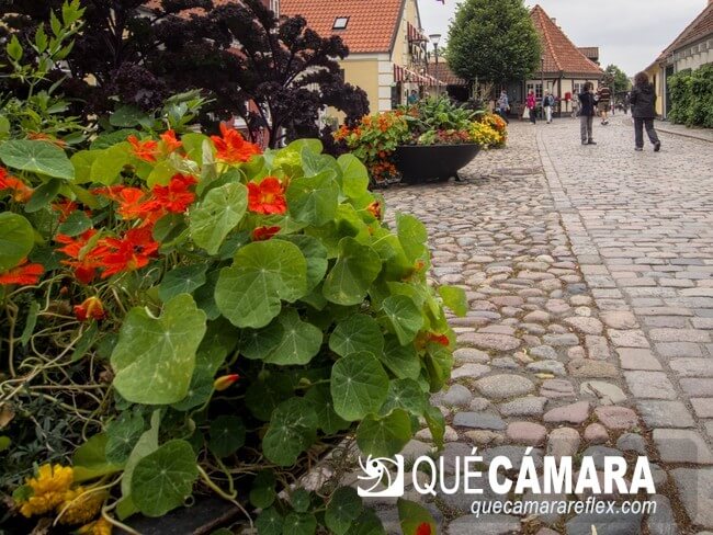 Perspectiva - Separación de planos fotografía