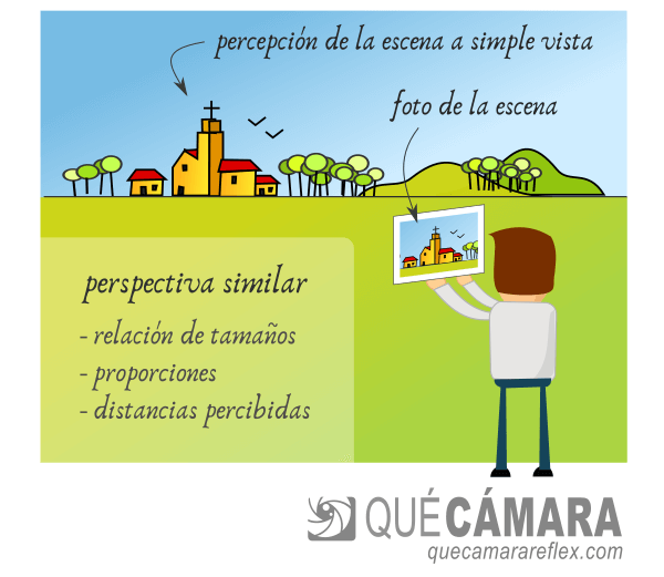 Objetivos normales / estándar: perspectiva resultante