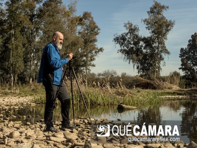 Trípode K&F Concept D255C4 - altura base