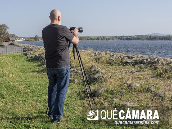 Trípode de carbono KF Concept A254C4