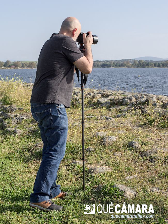 Trípode A254C4 monopié