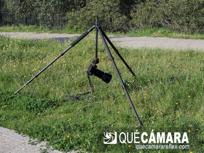 Trípode A254C4 con columna invertida